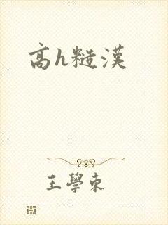 高h糙汉