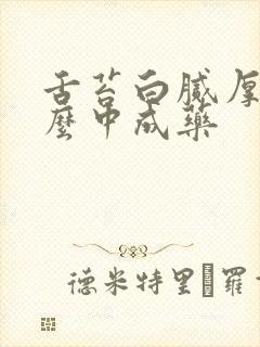 舌苔白腻厚用什么中成药