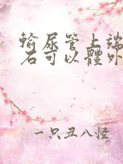 输尿管上端的结石可以体外碎石吗