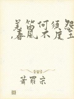 羌笛何须怨杨柳,春风不度玉门关情感