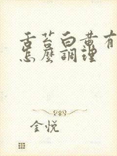 舌苔白黄有齿痕怎么调理