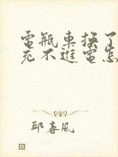 电瓶车换了电瓶充不进电怎么回事