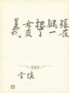 美女把腿张开让我爽了一夜