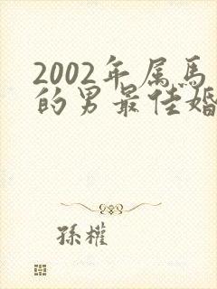2002年属马的男最佳婚配属相