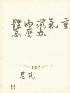 体内湿气重口臭怎么办