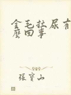 金毛拉尿有血怎么回事