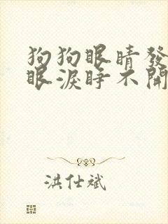 狗狗眼睛发红流眼泪睁不开