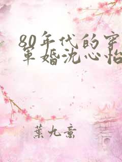 80年代的穿越军婚沈心怡