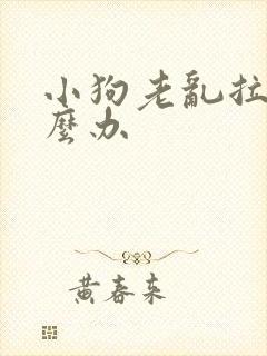 小狗老乱拉尿怎么办