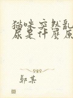 猫咪突然乱拉乱尿是什么原因引起的