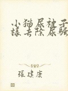 小猫尿被子上怎样去除尿骚味