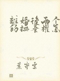 离婚后两个小孩的抚养权怎么判