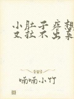 小肚子疼想大便又拉不出来怎么回事