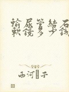 输尿管结石手术软镜多少钱