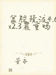 盆腔积液4.6x2.3严重吗