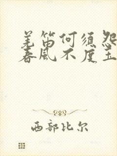 羌笛何须怨杨柳春风不度玉门关的意思是什么