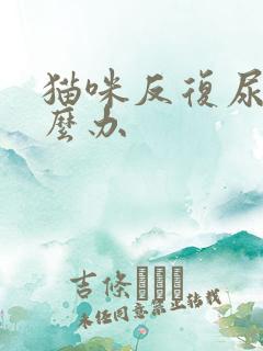 猫咪反复尿闭怎么办