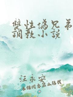 双性伪兄弟年上调教小说