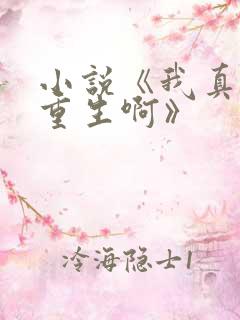 小说《我真没想重生啊》