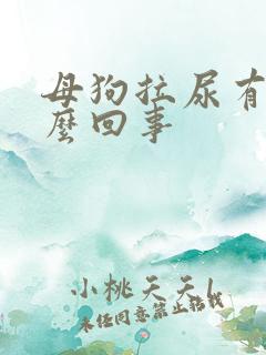 母狗拉尿有血怎么回事