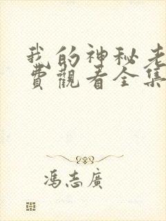 我的神秘老公免费观看全集