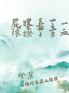 屁眼长了一个肉球擦了有血