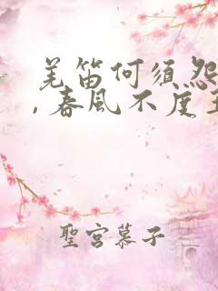 羌笛何须怨杨柳, 春风不度玉门关.