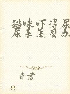 猫咪吓得尿不出尿来怎么办