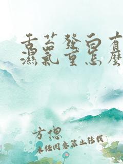 舌苔发白有齿痕湿气重怎么调理