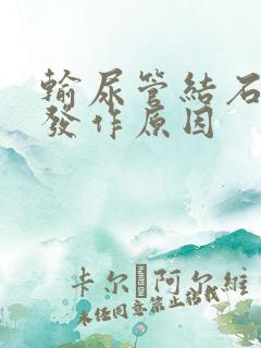 输尿管结石反复发作原因