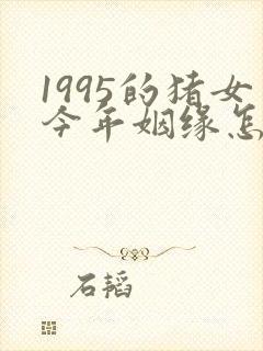 1995的猪女今年姻缘怎样