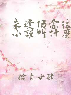 未逢仍念往原著小说叫什么名字