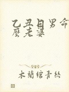 乙丑日男命娶什么老婆