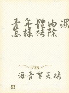 青年体内湿气重怎样祛除