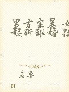 男方家暴 女方起诉离婚 孩子抚养权归谁