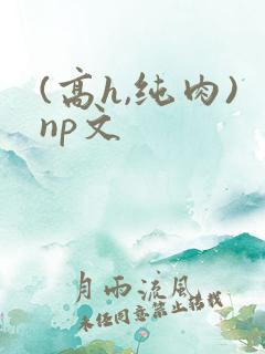 (高h,纯肉)np文