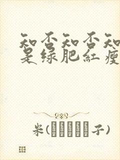 知否知否知否应是绿肥红瘦在线观看高清