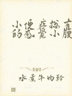 小便疼总有憋尿的感觉小腹也疼