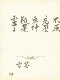 电瓶车充不上电了是什么原因