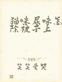 猫咪尿味怎么去除被子上