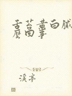 舌苔黄白腻是怎么回事