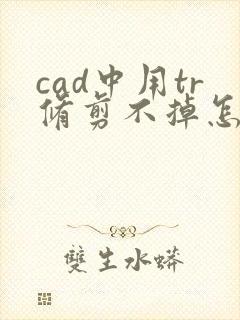 cad中用tr修剪不掉怎么办