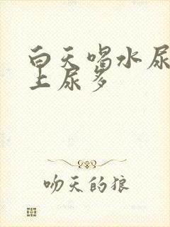 白天喝水尿少晚上尿多