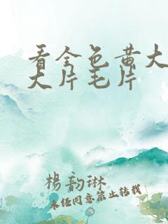 看全色黄大色黄大片毛片