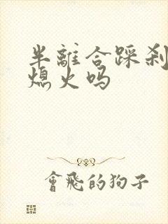 半离合踩刹车会熄火吗