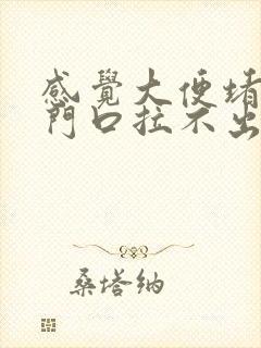 感觉大便堵在肛门口拉不出来