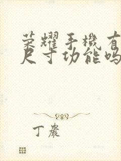 荣耀手机有测量尺寸功能吗