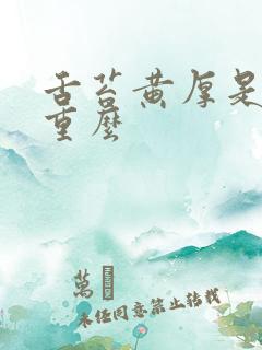 舌苔黄厚是湿气重么