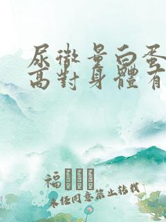 尿微量白蛋白偏高对身体有什么影响