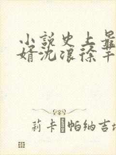 小说史上最强赘婿沈浪徐芊芊